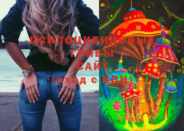 мяу мяу мука Армянск