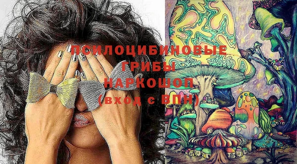 мяу мяу мука Армянск