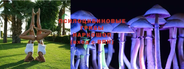 Альфа ПВП Аркадак
